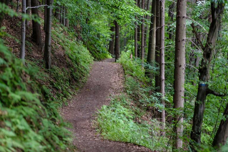Hiking in Atlanta